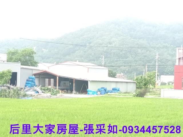 苗栗苑裡農地-4