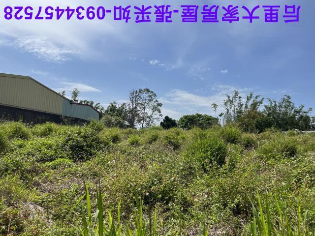 台中后里農地-6