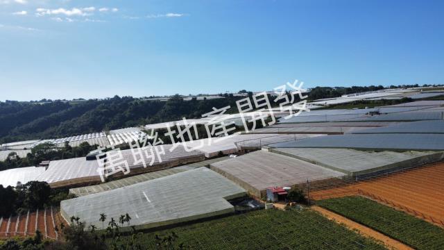 南投埔里山坡保育區林業用-12