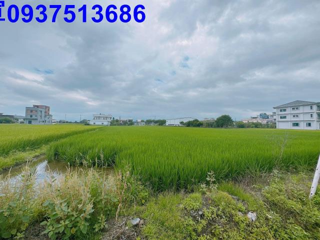 宜蘭宜蘭市農地-2