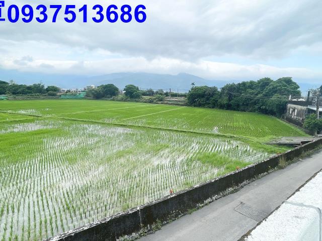 宜蘭礁溪農地-11