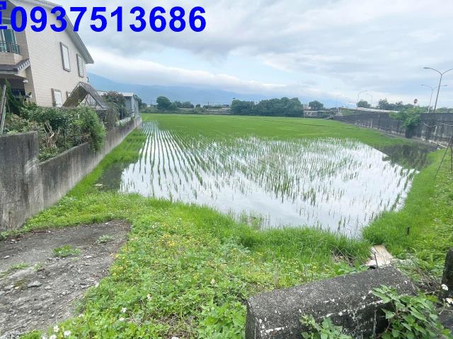 宜蘭礁溪農地-2