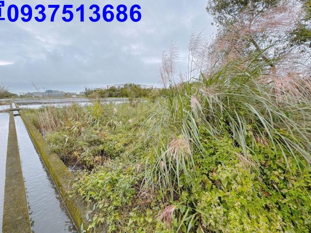 宜蘭宜蘭市農地-3