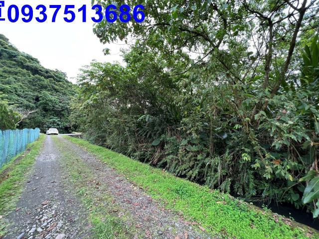 宜蘭員山農地-11