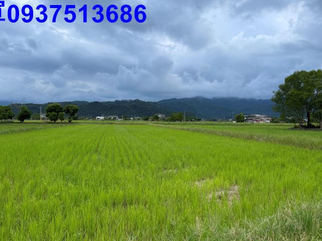 宜蘭三星農地-6