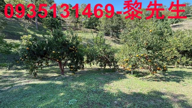 新竹峨眉農地-11