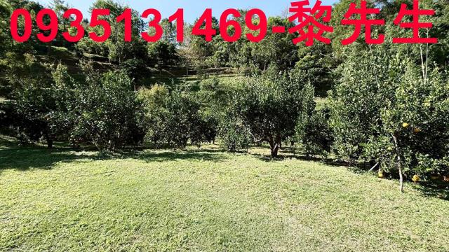 新竹峨眉農地_水利用地道路-11