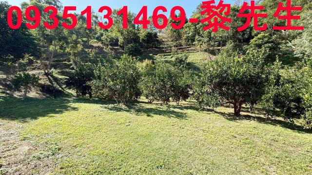 新竹峨眉農地_水利用地道路-12