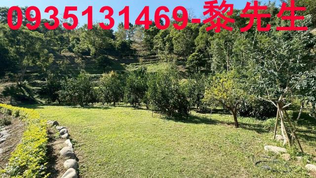 新竹峨眉農地_水利用地道路-13