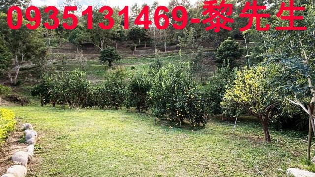 新竹峨眉農地_水利用地道路-14