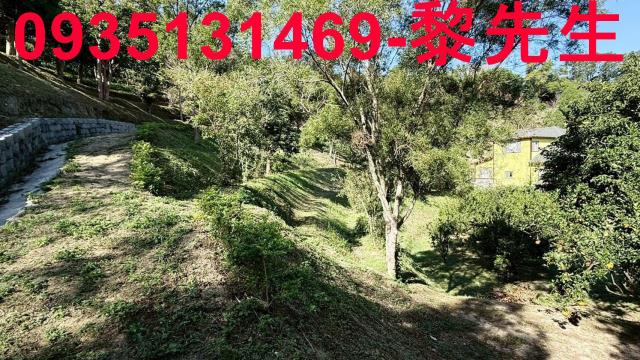 新竹峨眉農地_水利用地道路-5