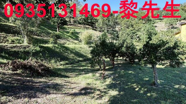 新竹峨眉農地_水利用地道路-7