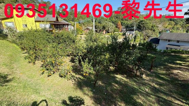 峨眉農地_水利用地道路-12