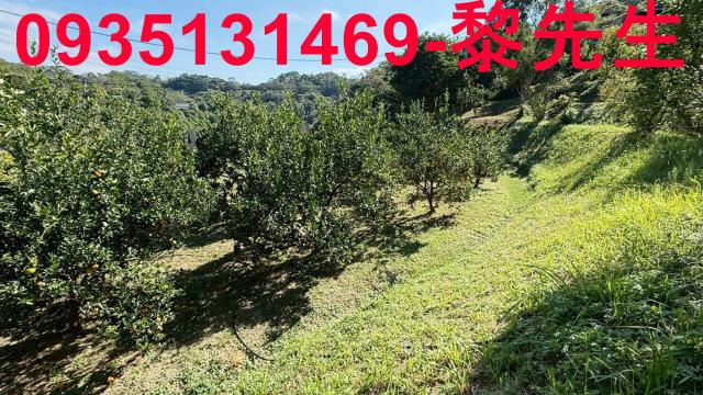 峨眉農地_水利用地道路-7