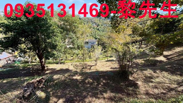 峨眉農地_水利用地道路-8