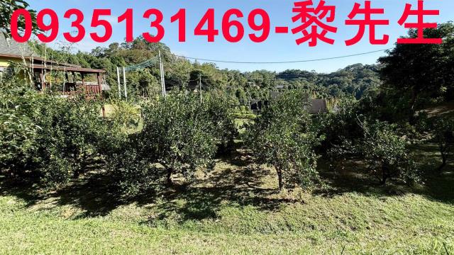 峨眉農地_水利用地道路-9