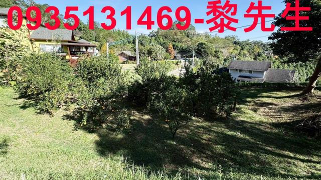 峨眉農地_水利用地道路-10