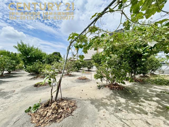 彰化大村農地-2