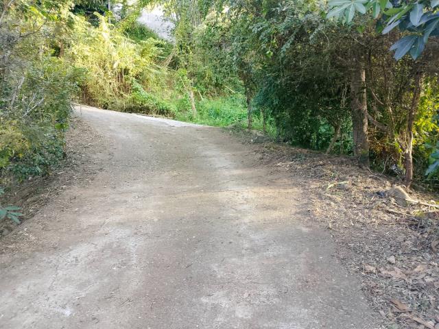 台中太平農地-13