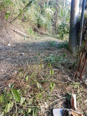 台中太平農地-13