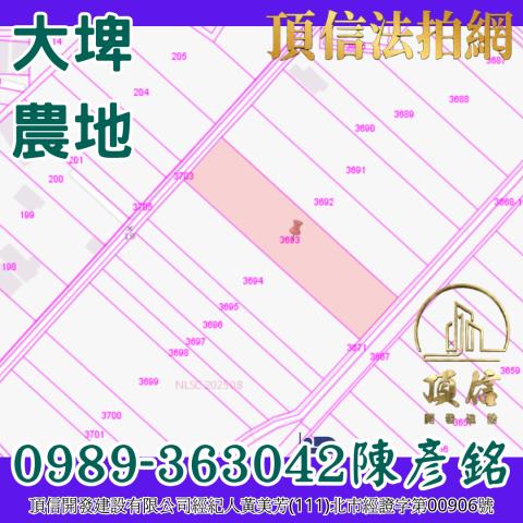 雲林大埤法拍農地-2