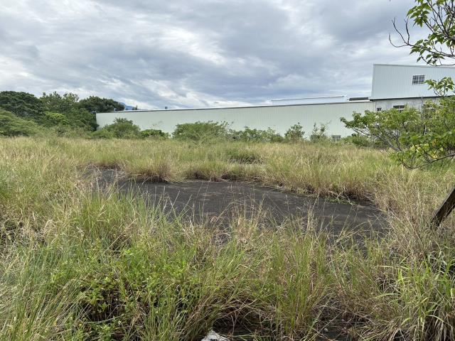 苗栗竹南工業地-4