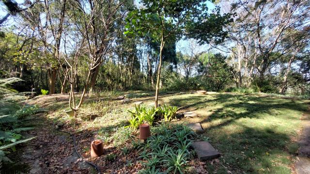 新竹橫山林地-2