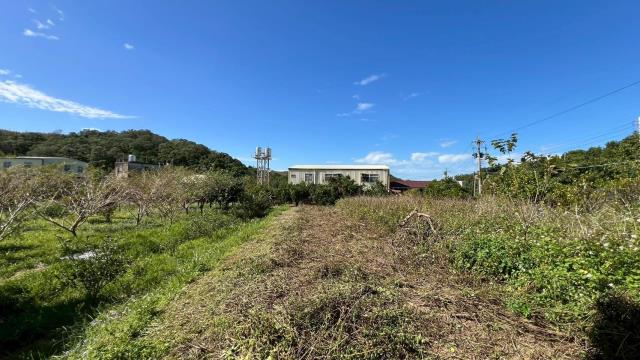 苗栗頭份農地-7