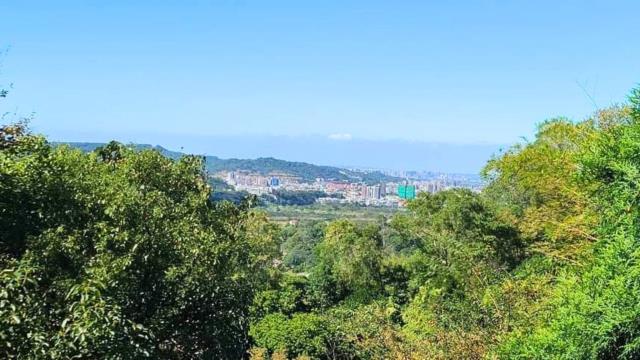 新竹橫山山坡地_休閒地_林地-14