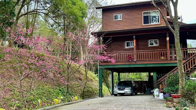 新竹橫山山坡地_休閒地_林地-2