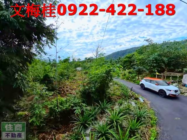 宜蘭員山農地-10