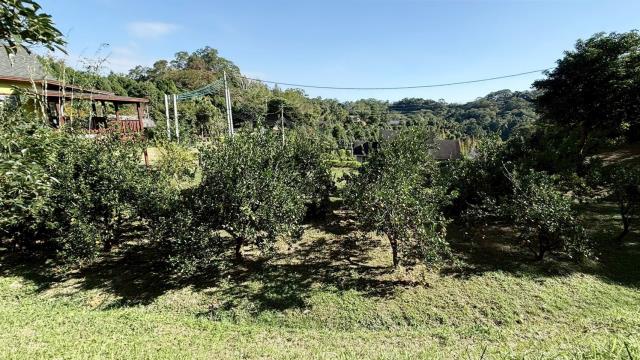 峨眉農地_山坡地-10