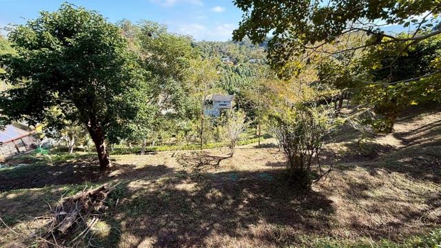 峨眉農地_山坡地-11