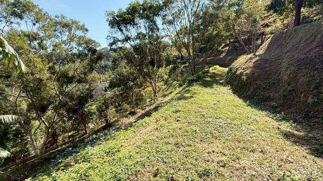 峨眉農地_山坡地-12