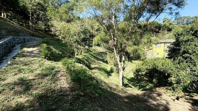 峨眉農地_山坡地-13