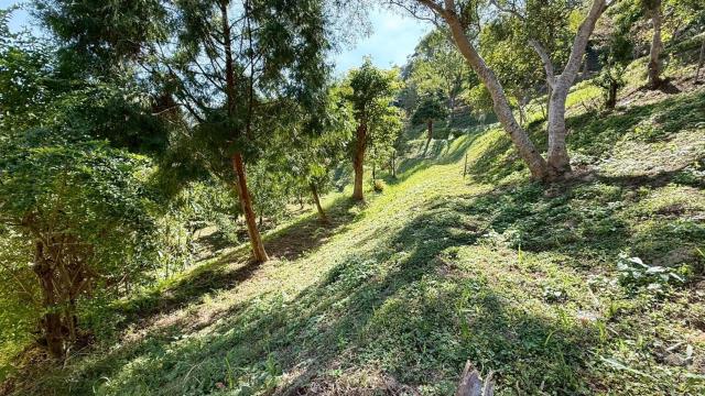 峨眉農地_山坡地-14