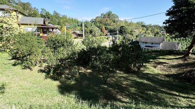 峨眉農地_山坡地-15