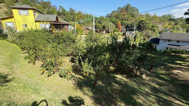 峨眉農地_山坡地-4