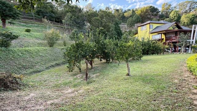 峨眉農地_山坡地-6