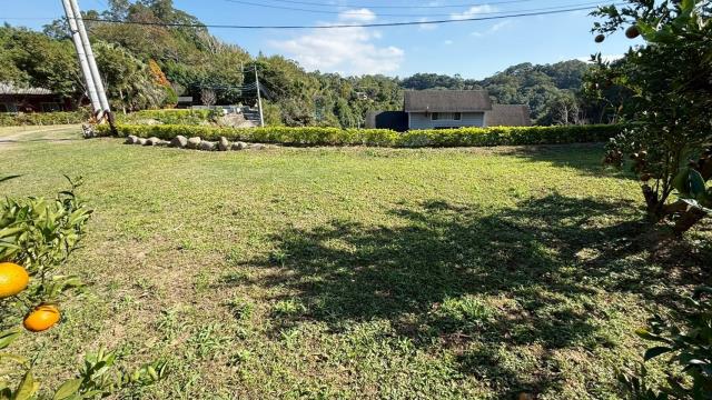 峨眉農地_山坡地-7