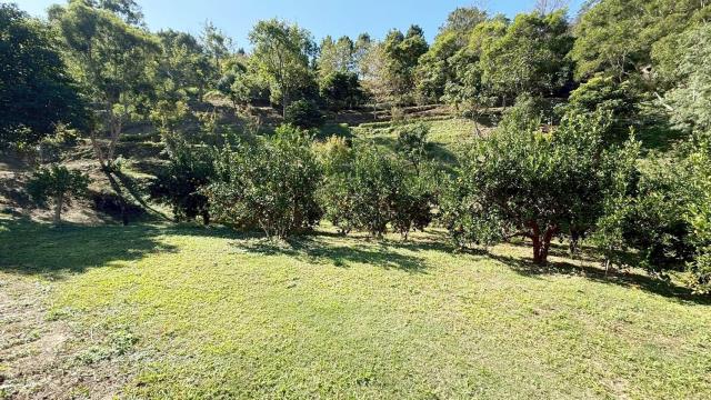 峨眉農地_山坡地-9