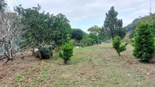關西農地_山坡地_休閒地-11