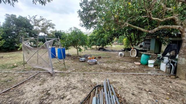 關西農地_山坡地_休閒地-13