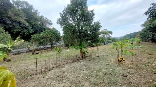 關西農地_山坡地_休閒地-14