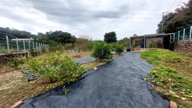 關西農地_山坡地_休閒地-1