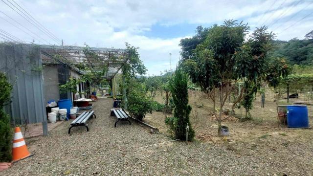 關西農地_山坡地_休閒地-2