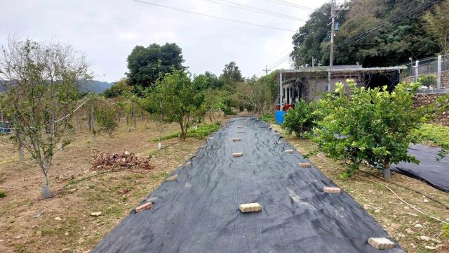 關西農地_山坡地_休閒地-3