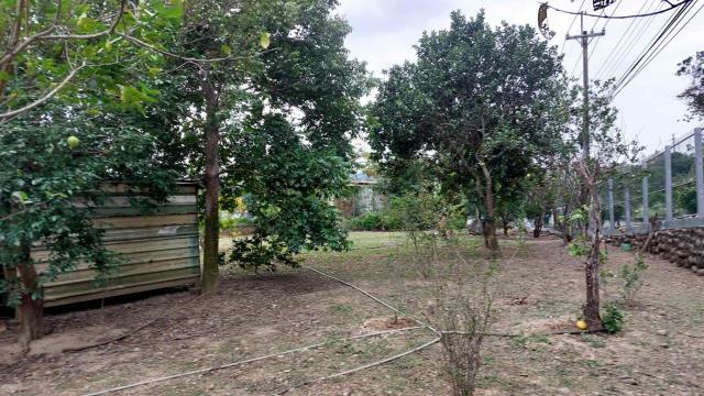 關西農地_山坡地_休閒地-6