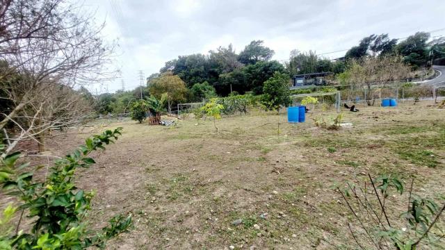 關西農地_山坡地_休閒地-8