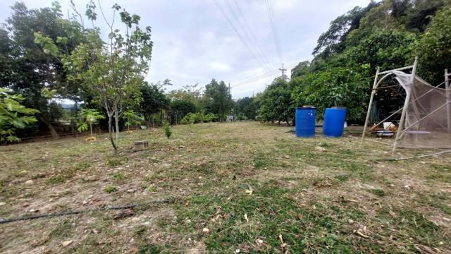 關西農地_山坡地_休閒地-9